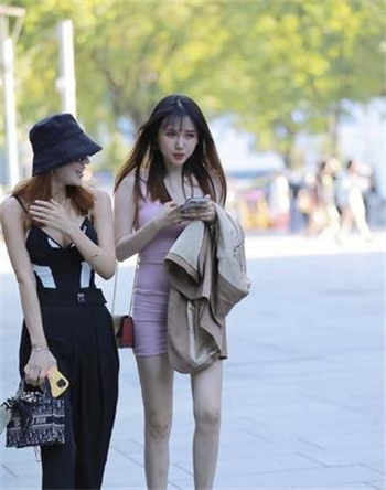 求车牌号码在线看的