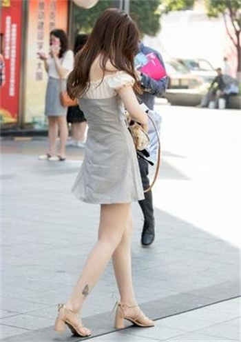 kittytorrent中网
