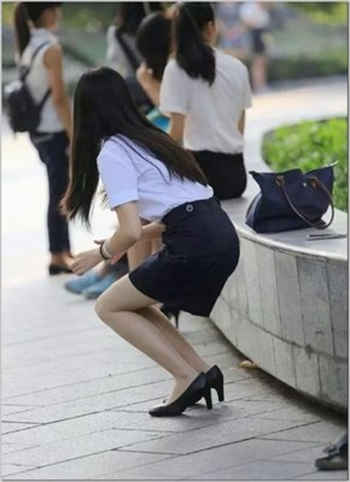 菊花app下载软件
