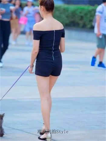 猫咪网页版会员账号