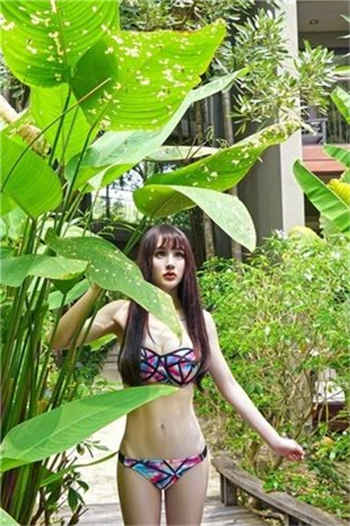 无翼鸟全彩本子大全