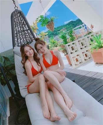 官家txt全集下载
